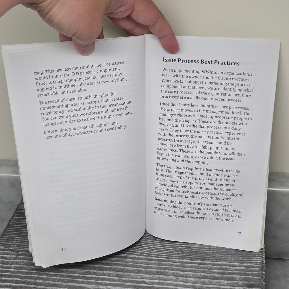 Process Triage: How to Build Repeatable, Sustainable, Scalable Business, Book - Picture 5 of 6